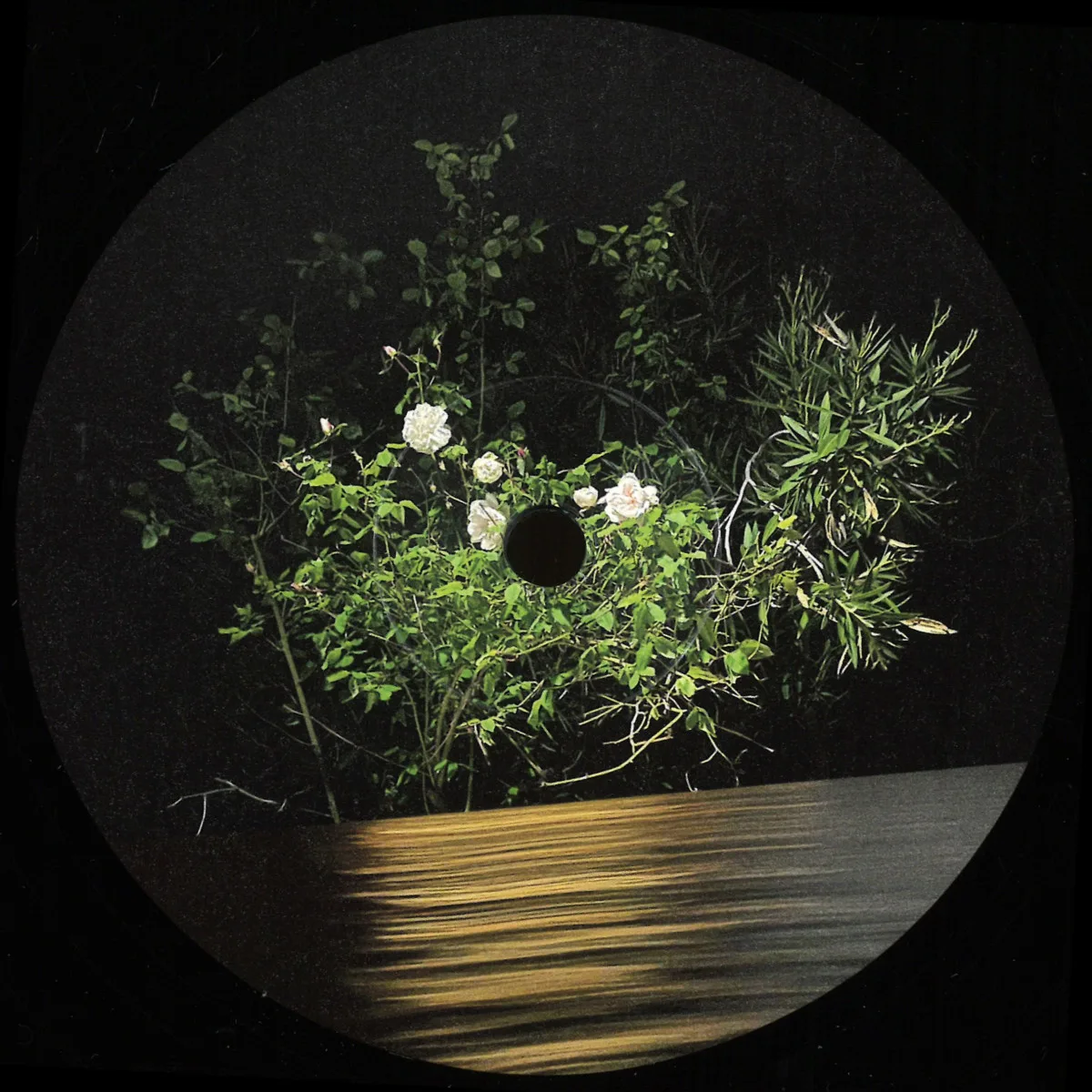 Ben La Desh — Fine Rise EP