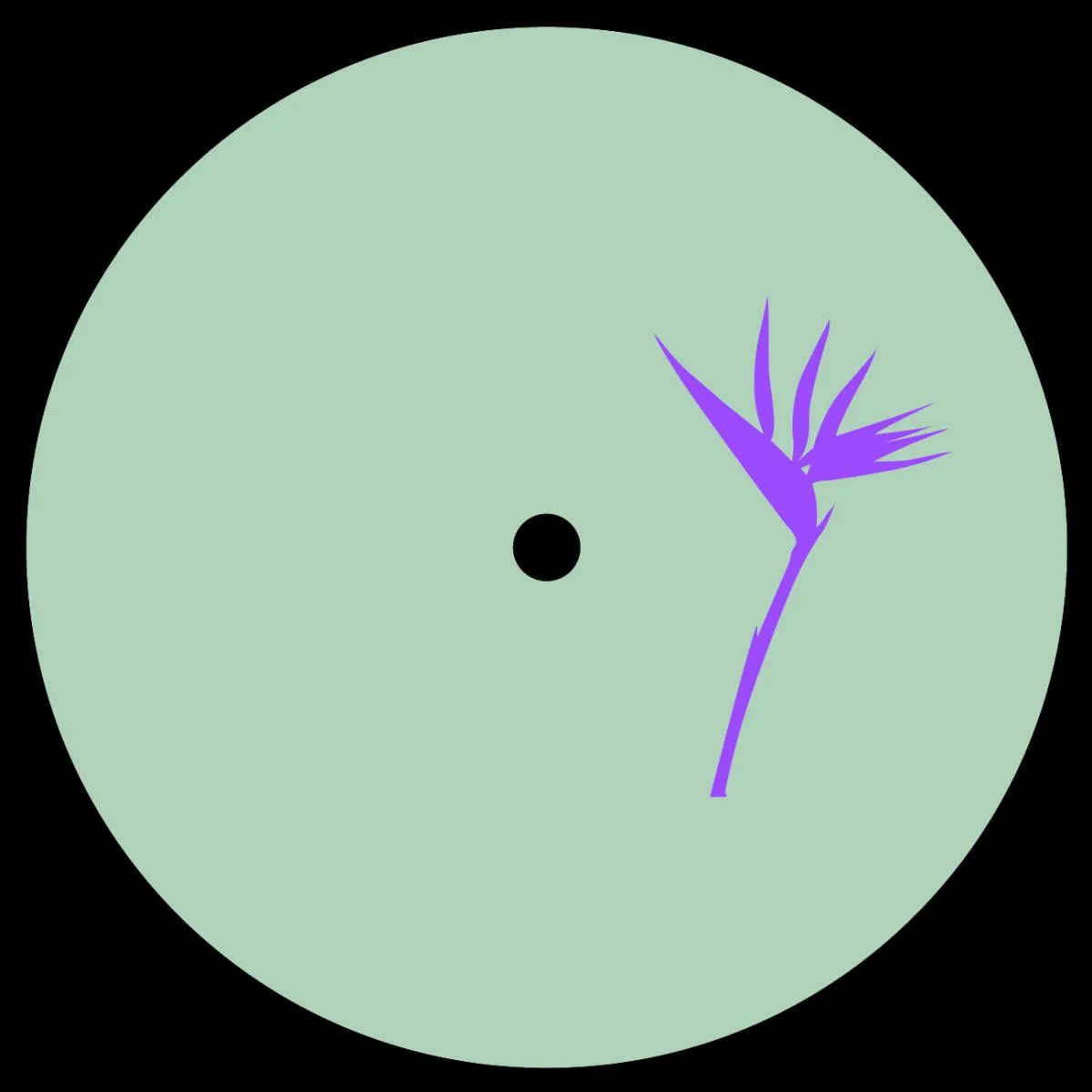 Pennyy — Espresso Brodie