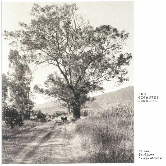 LOS GIGANTES DORMIDOS — En Los Jardines De Mis Abuelos