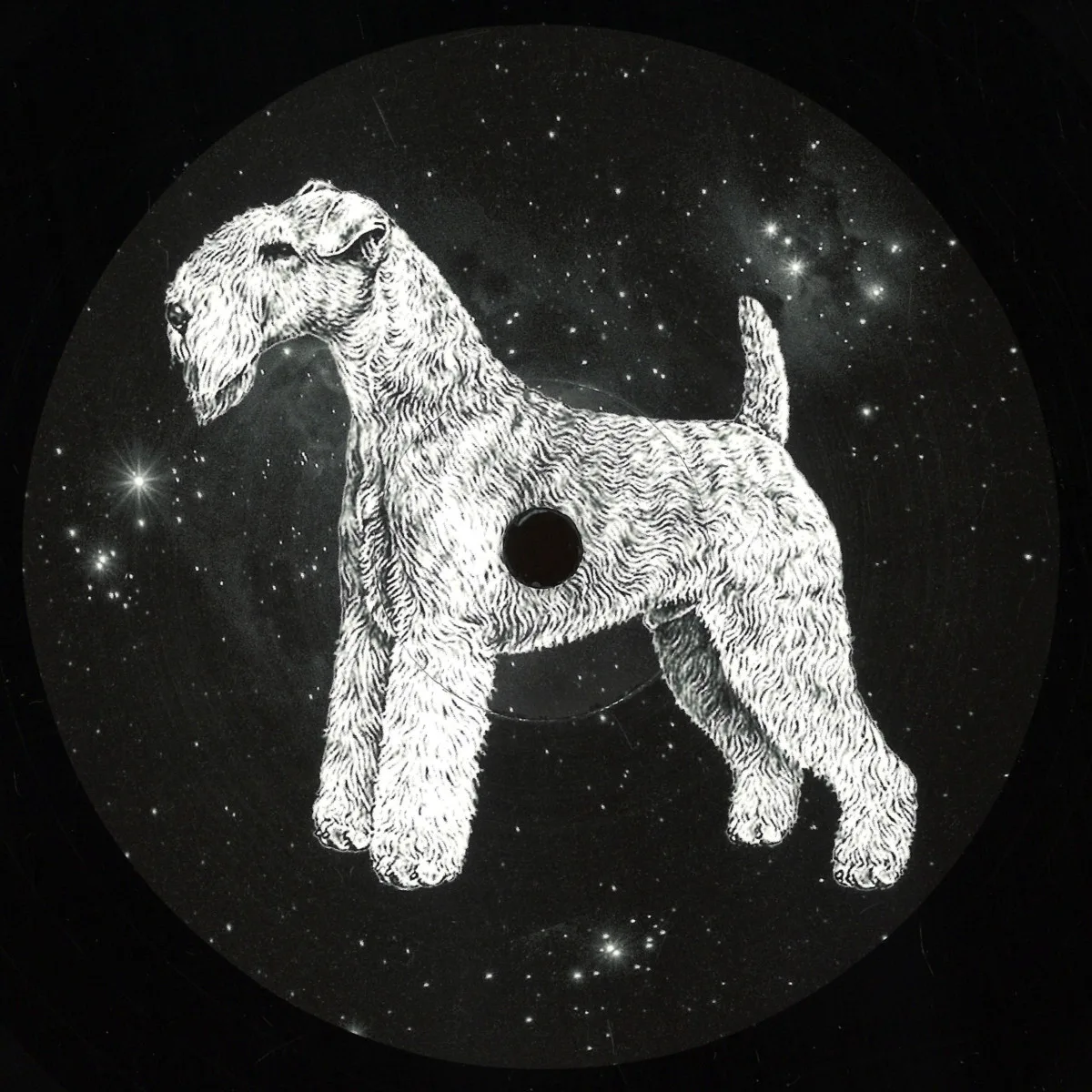 Paul Walter — DM For House