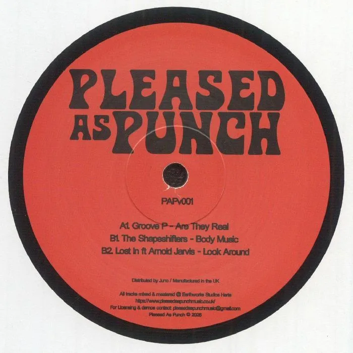 Back cover — GROOVE P / THE SHAPESHIFTERS / LOST IN — PAP Wax 01