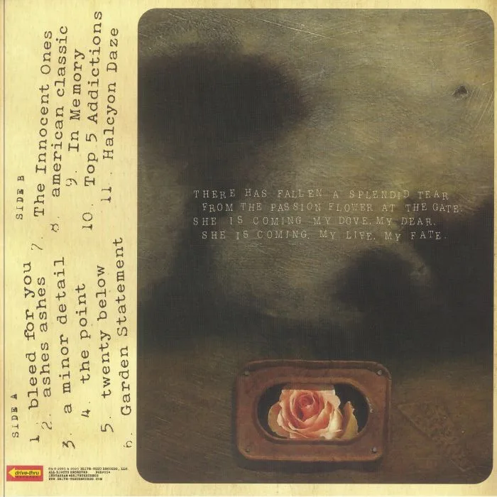 Back cover — HIDDEN IN PLAIN VIEW — Life In Dreaming (20th Anniversary Edition)