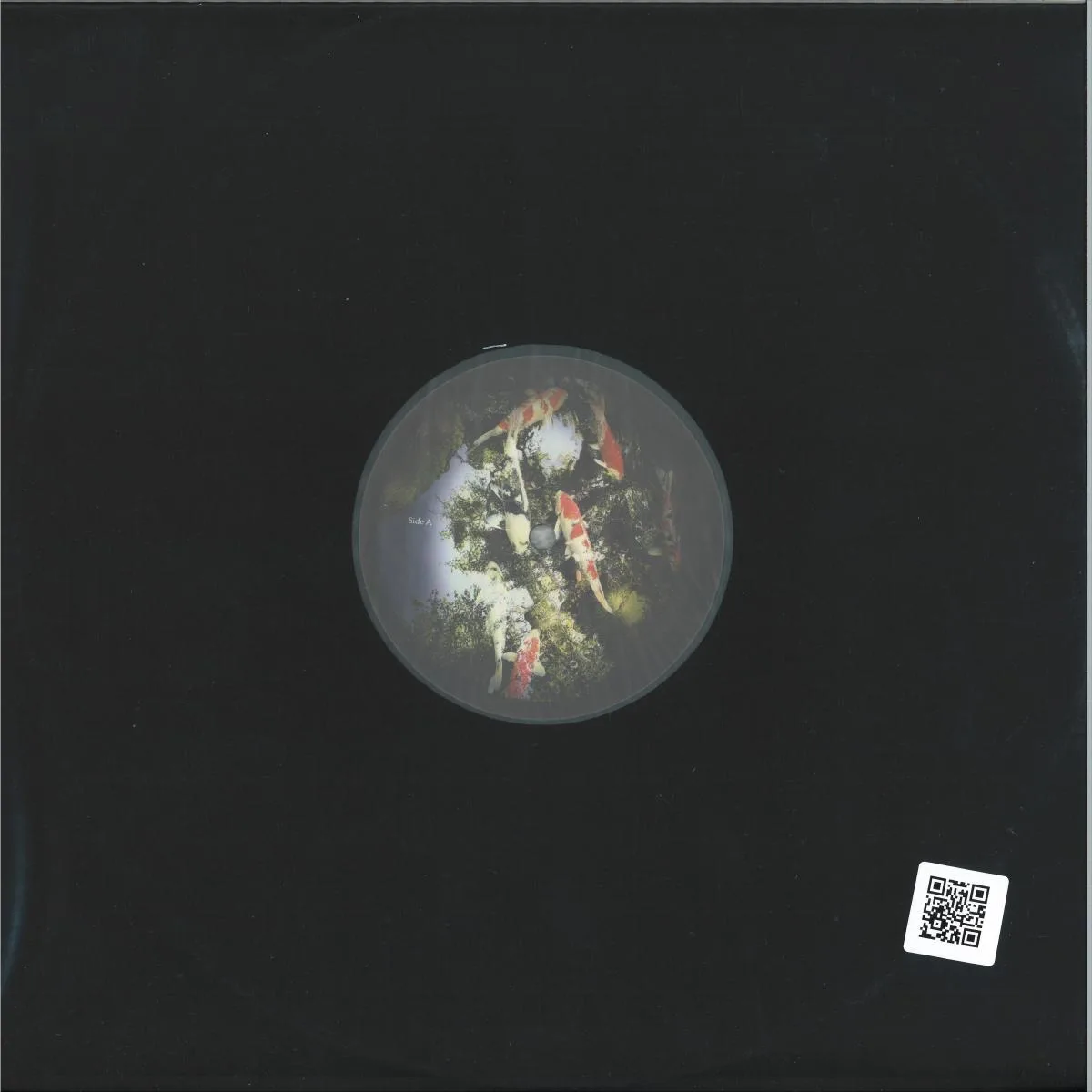 Back cover — Mitsuhisa Sakaguchi — sensitive