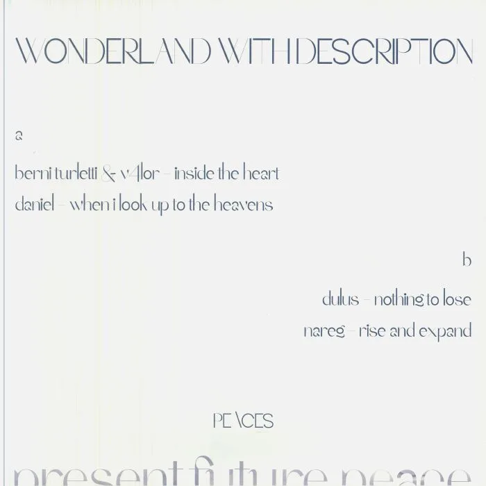 Back cover — BERNITURLETTI / V4LOR / DANIEL / DULUS / NAREG — Wonderland With Description