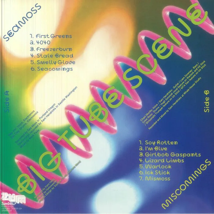Back cover — SEA MOSS / MISCOMINGS — Big Tube Scene