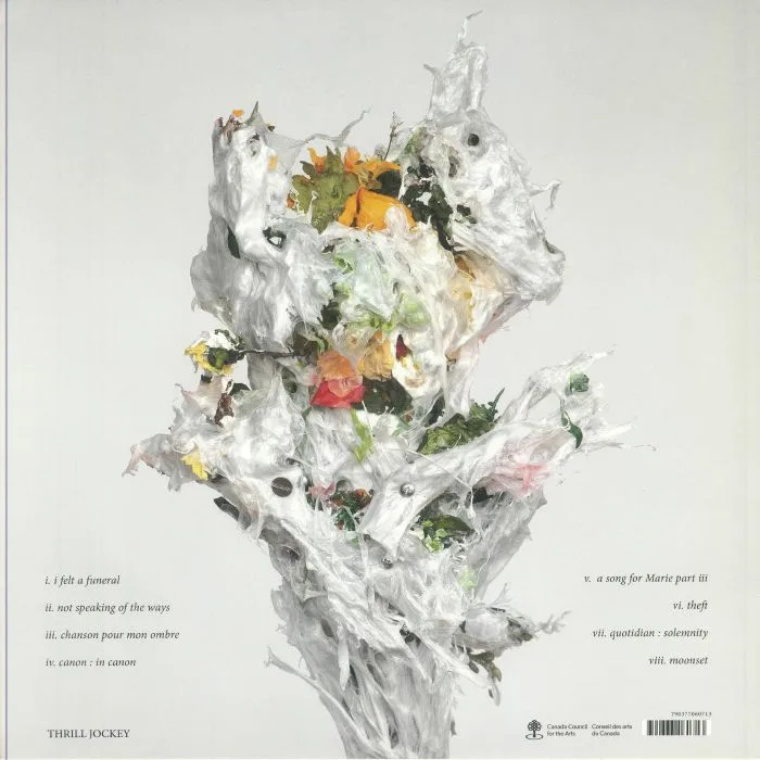 Обратная сторона обложки — BIG BRAVE — A Chaos Of Flowers