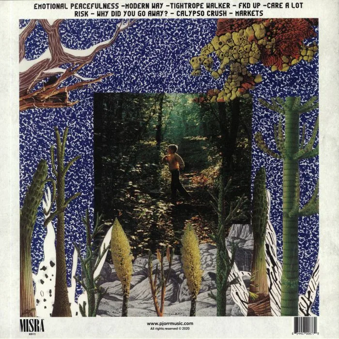 Back cover — PJ ORR — Tightrope Walker