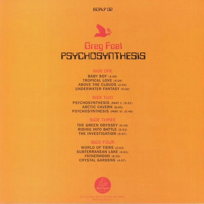 Обратная сторона обложки — Greg FOAT — Psychosynthesis