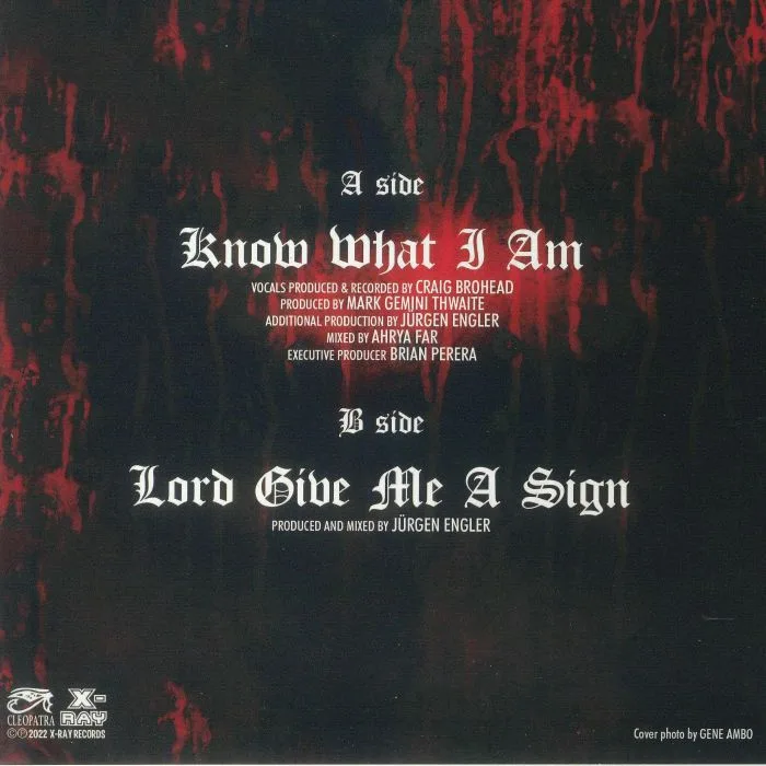 Back cover — DMX — Know What I Am