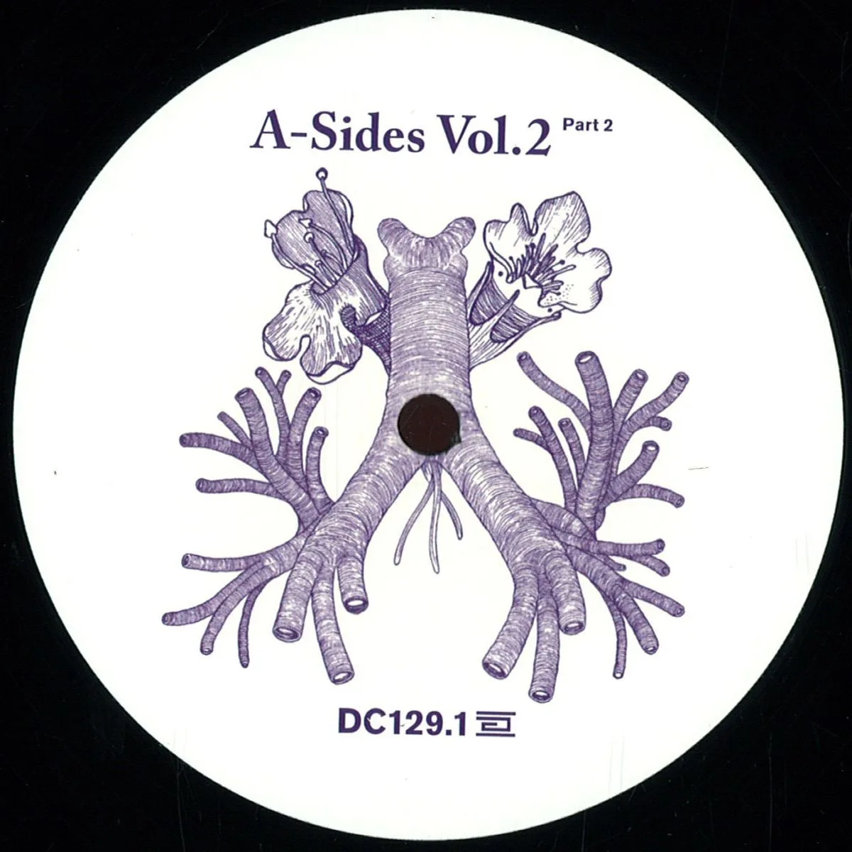 Front cover — Various — *1* A Sides Volume Ii Pt 2