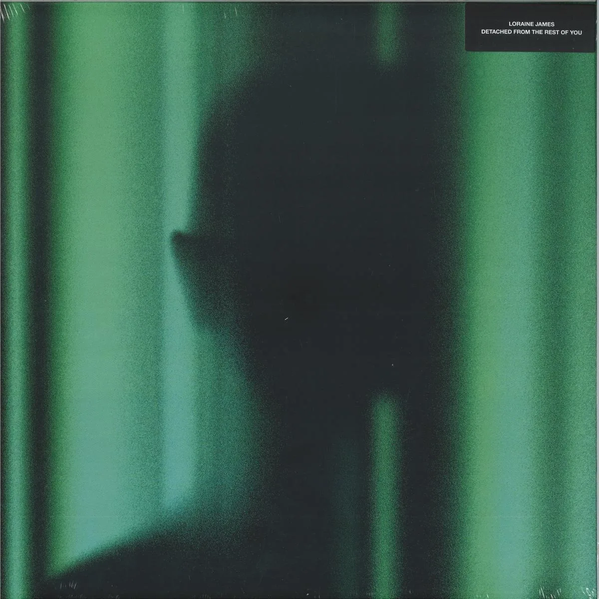 Loraine James — Detached From The Rest Of You LP