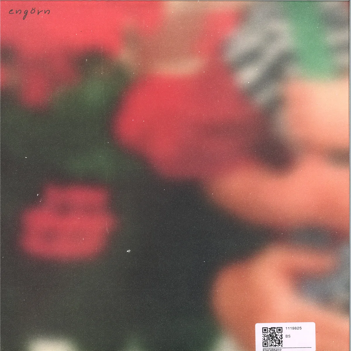 Back cover — Taschendrachen&Gustav Krach — engörn 02