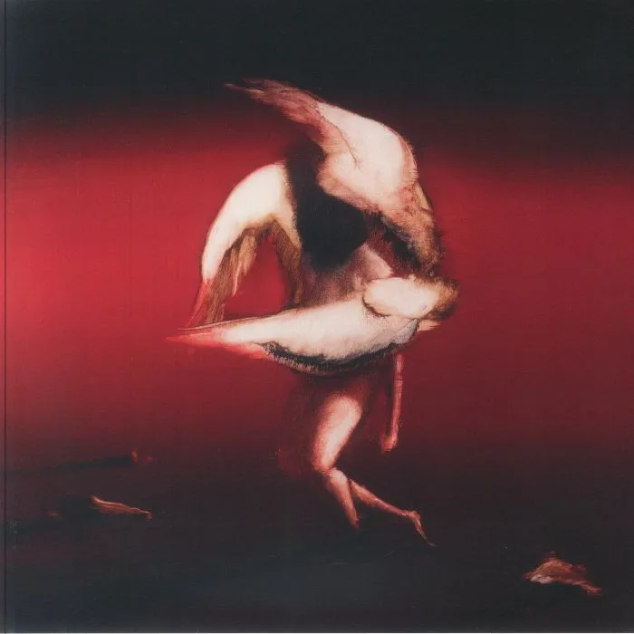 MARUJA — Pain To Power