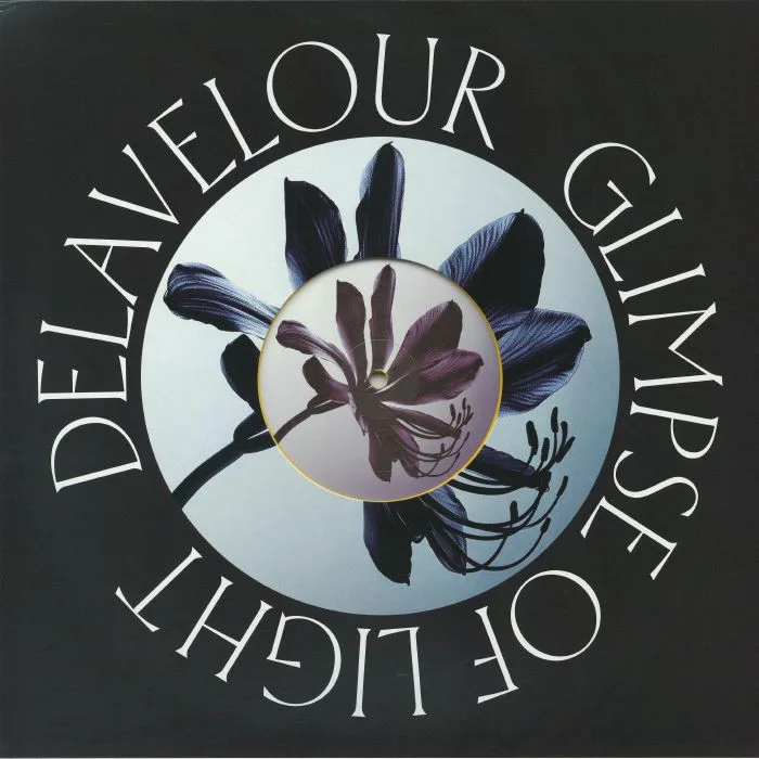 Лицевая сторона обложки — DELAVELOUR — Glimpse Of Light
