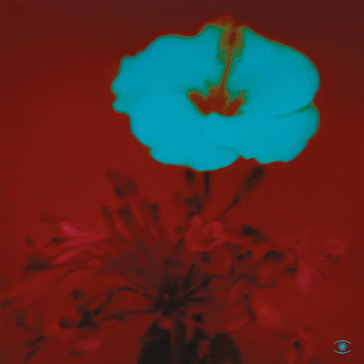 Front cover — John Beltran — Sunrise And The Way We Live (LP 2x12")
