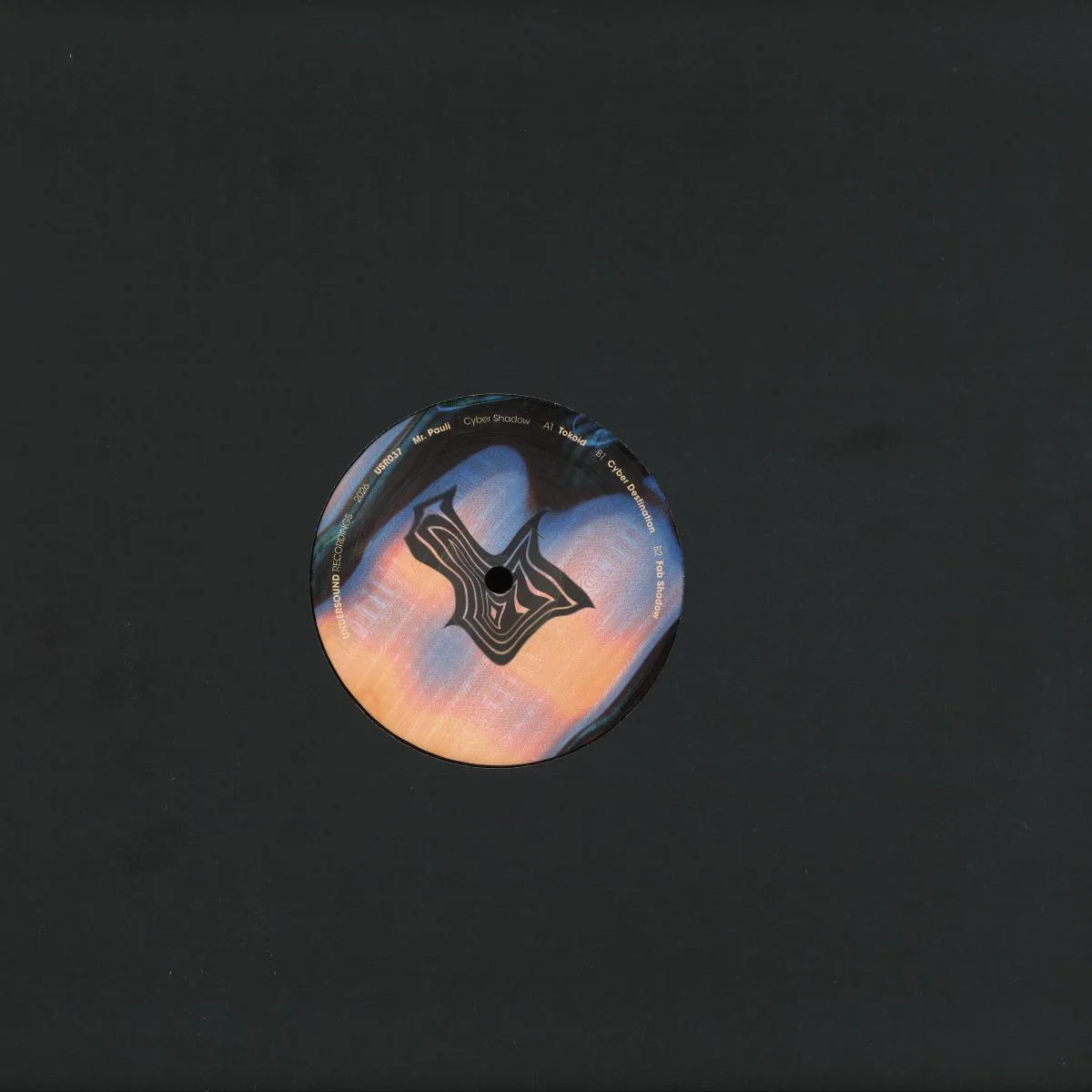 Back cover — Mr. Pauli — Cyber Shadow