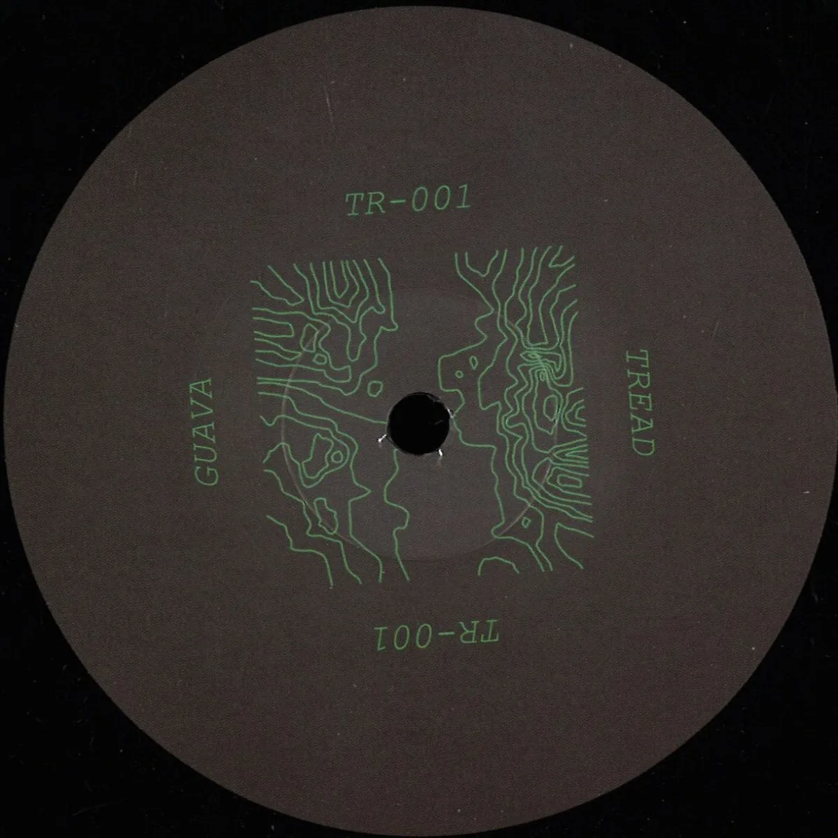 Guava — Guitarist EP