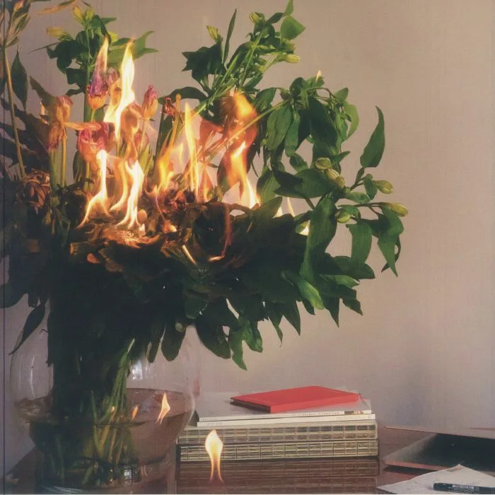 Piotr KUREK — Songs & Bodies