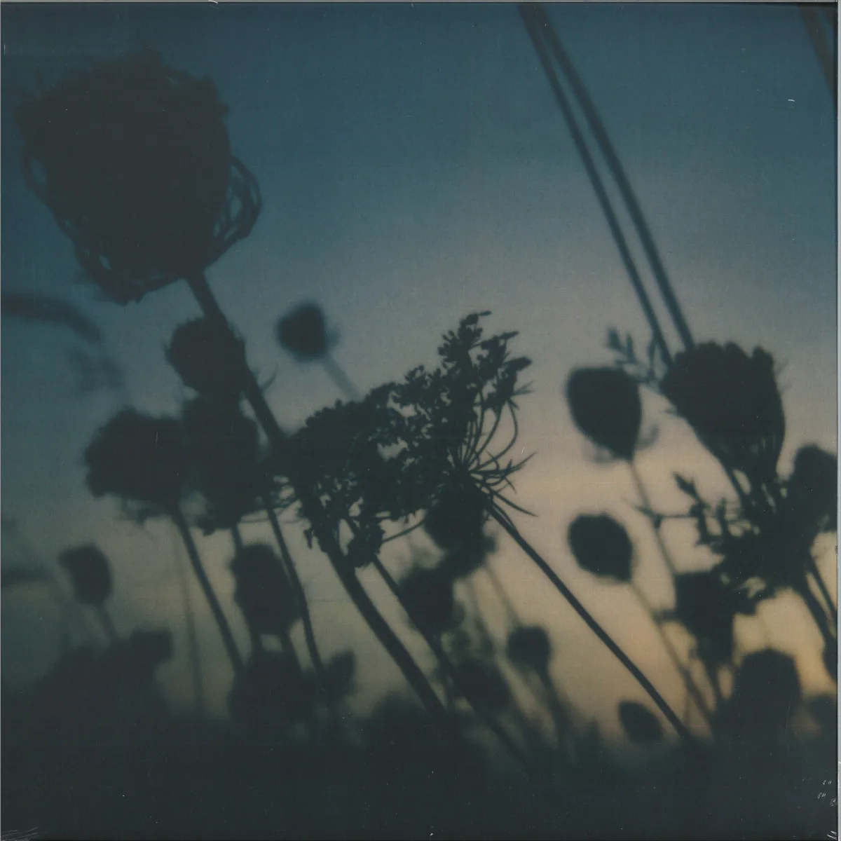 Awakened Souls/Benoit Pioulard/Zake — My Heart My Beloved LP