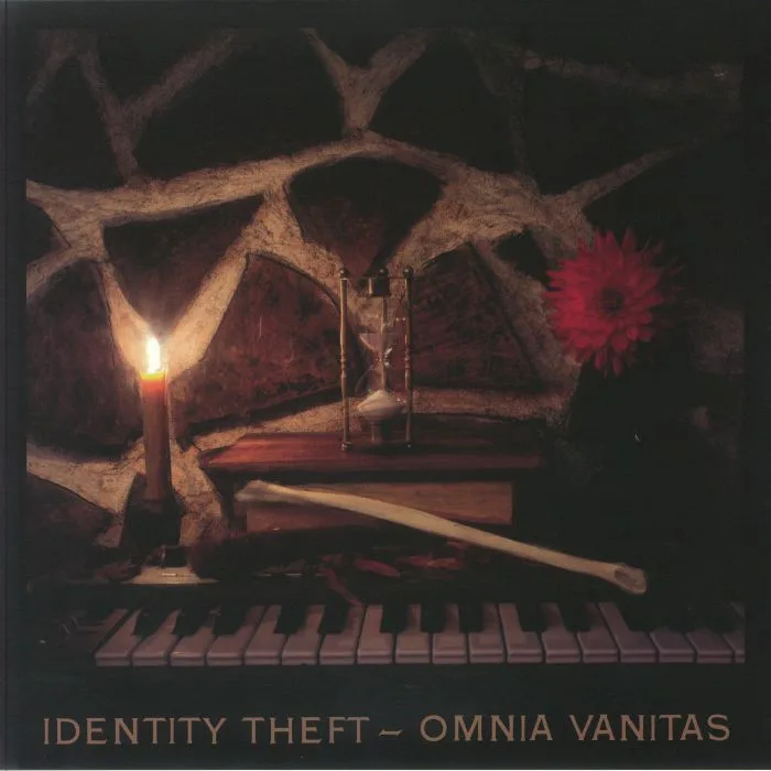 Front cover — IDENTITY THEFT — Omnia Vitas