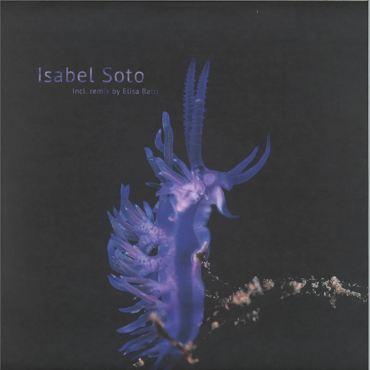 Isabel Soto — Habitat Alteration