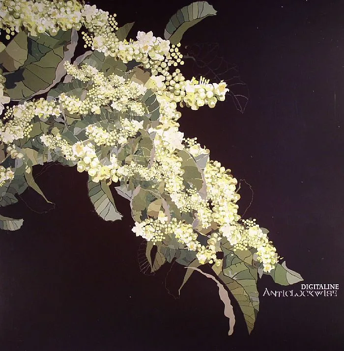 Front cover — DIGITALINE — Anticlockwise (warehouse find)