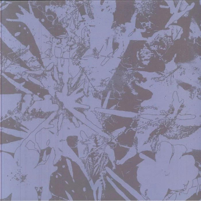 Front cover — PLANTS HEAL — Forest Dwellers