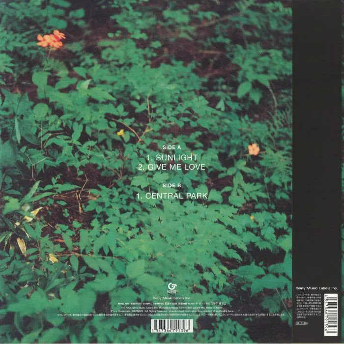 Back cover — SATELLITE LOVERS — Sunlight (reissue)