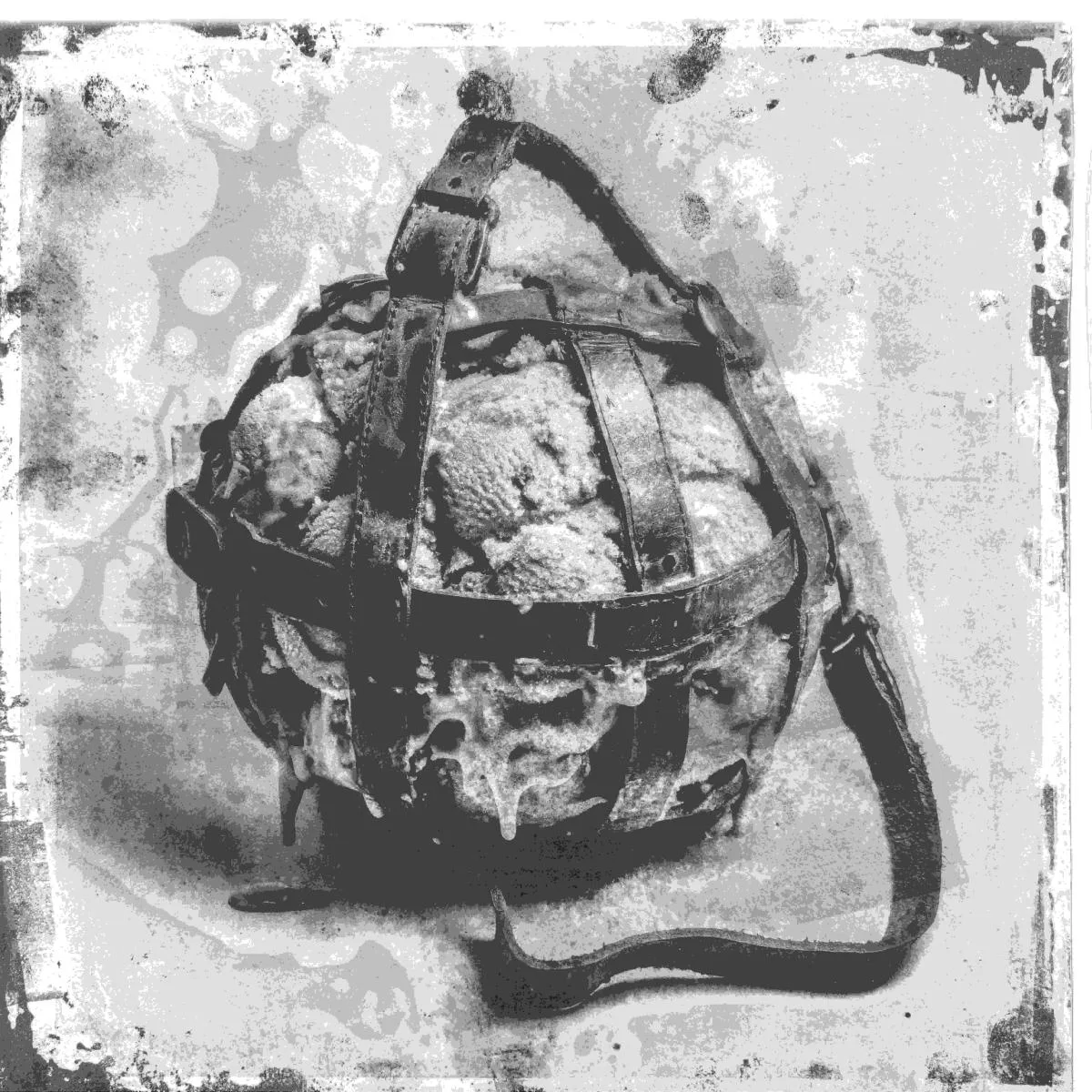 Stanislav Tolkachev — Dog Flavored Cat Chew EP