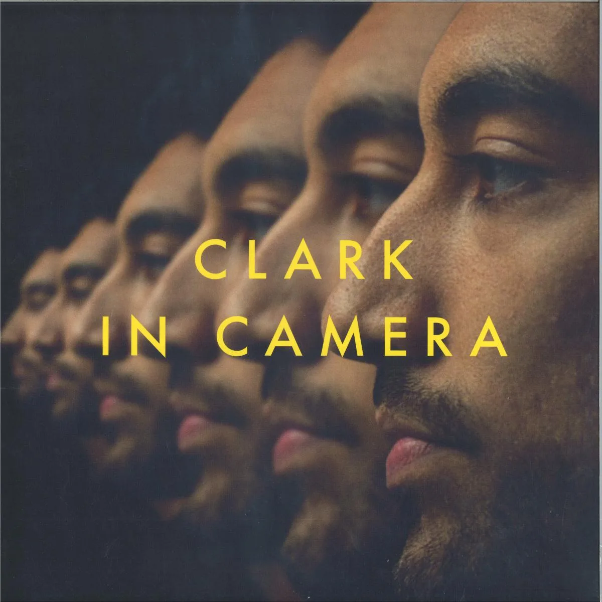 Clark — In Camera (2x12")