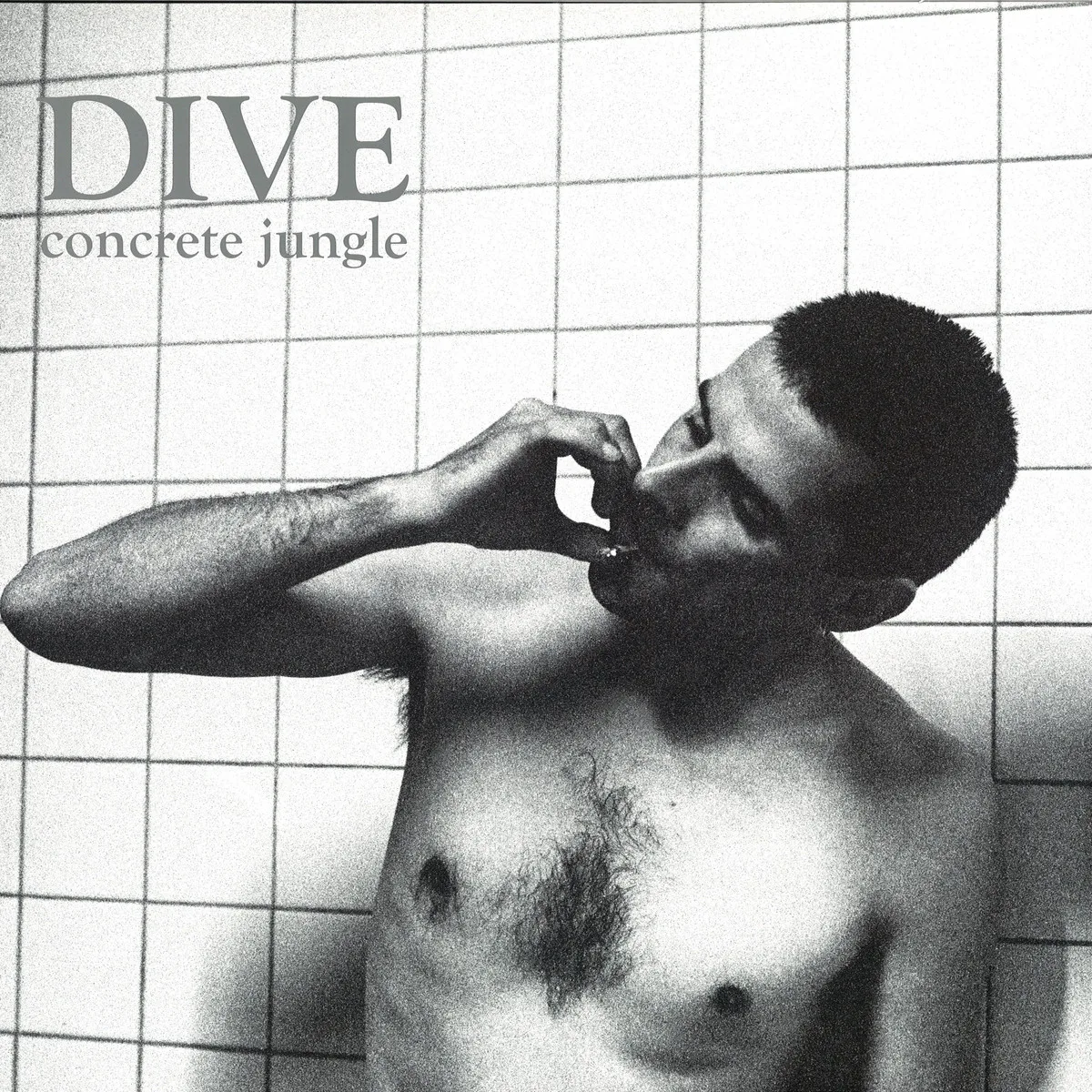 Dive — Concrete Jungle 2lp