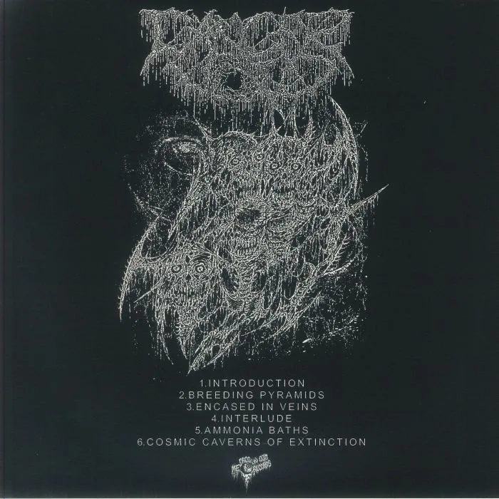 Back cover — CANCER VOID — First Metastasis