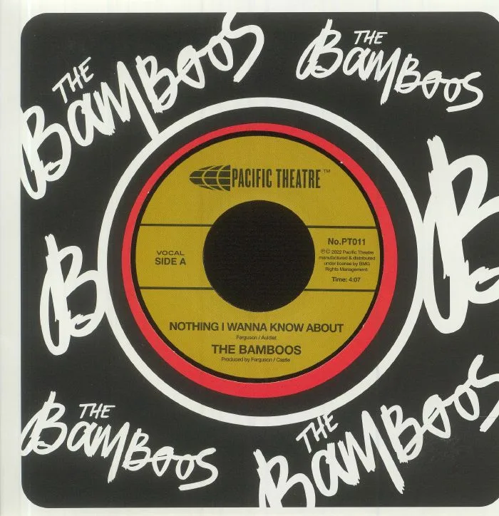 Лицевая сторона обложки — The BAMBOOS — Nothing I Wanna Know About