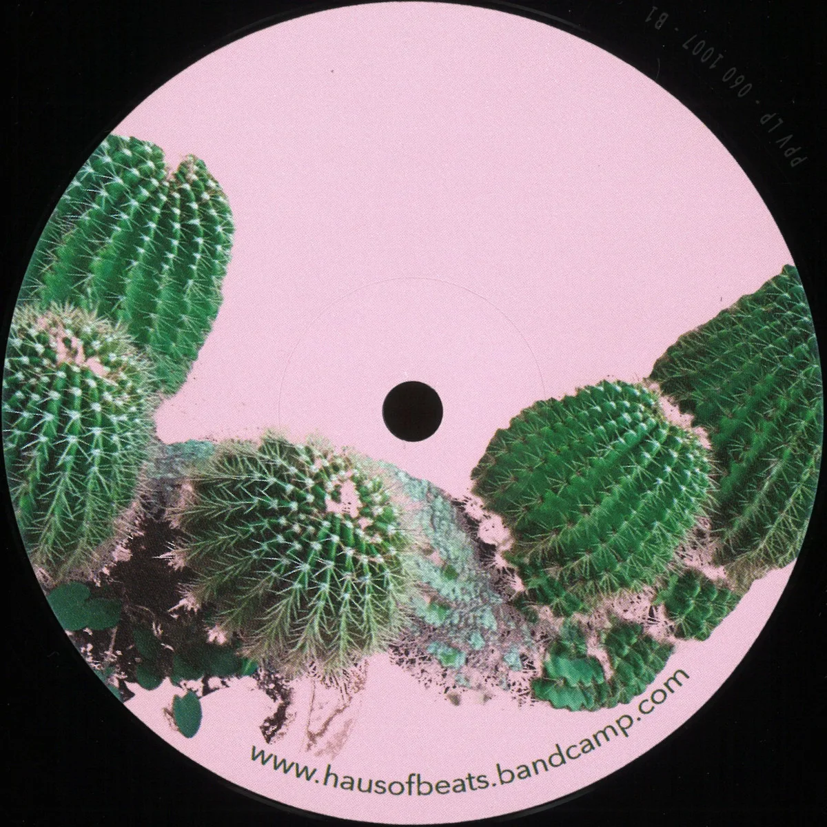 A-Tweed X Oltrefuturo — Echinopsis EP