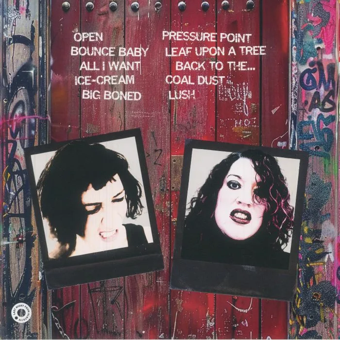 Back cover — The TWISTETTES — Red Door Open