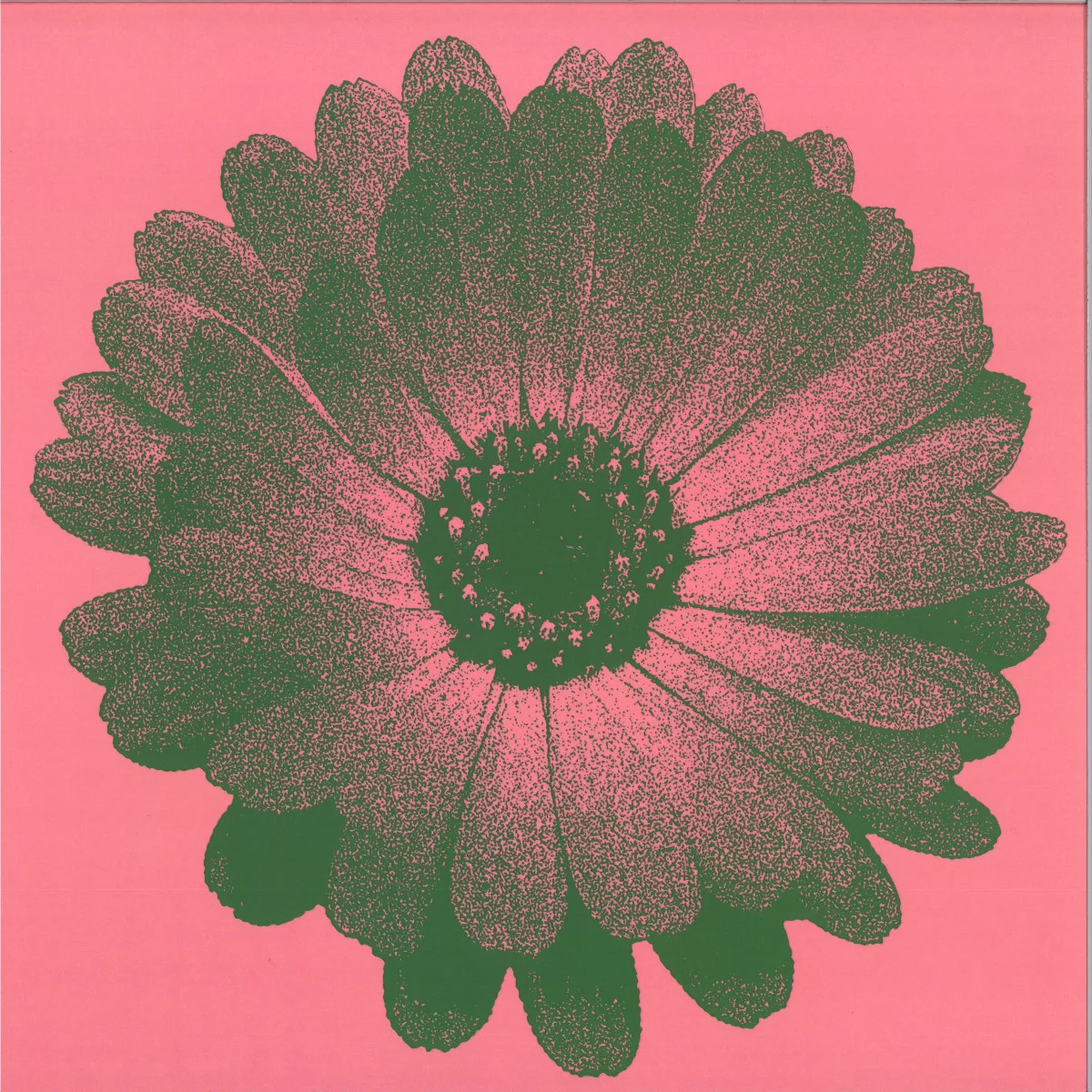 Zg — Into The Unknown LP