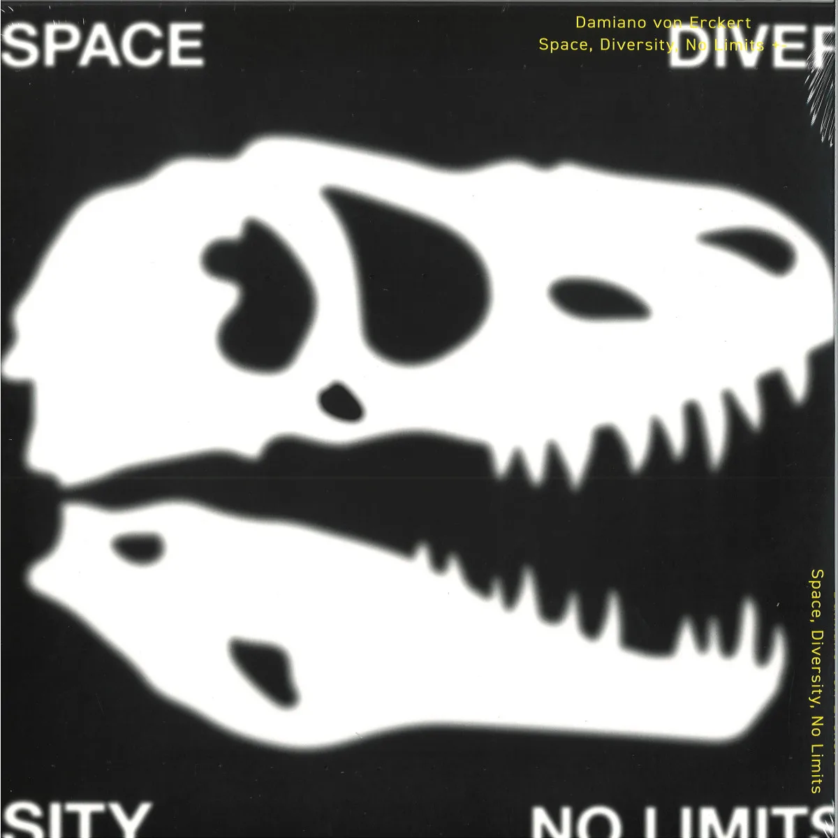 Лицевая сторона обложки — Damiano Von Erckert — Space, Diversity, No Limits