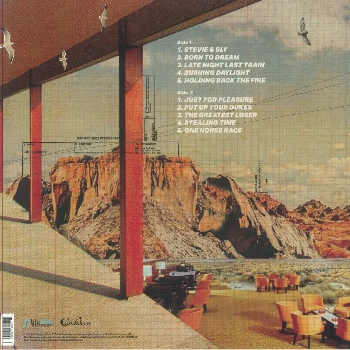 Back cover — YOUNG GUN SILVER FOX — Pleasure