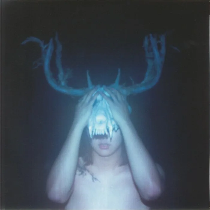 TIGER REALLY — Mayfly Daydream