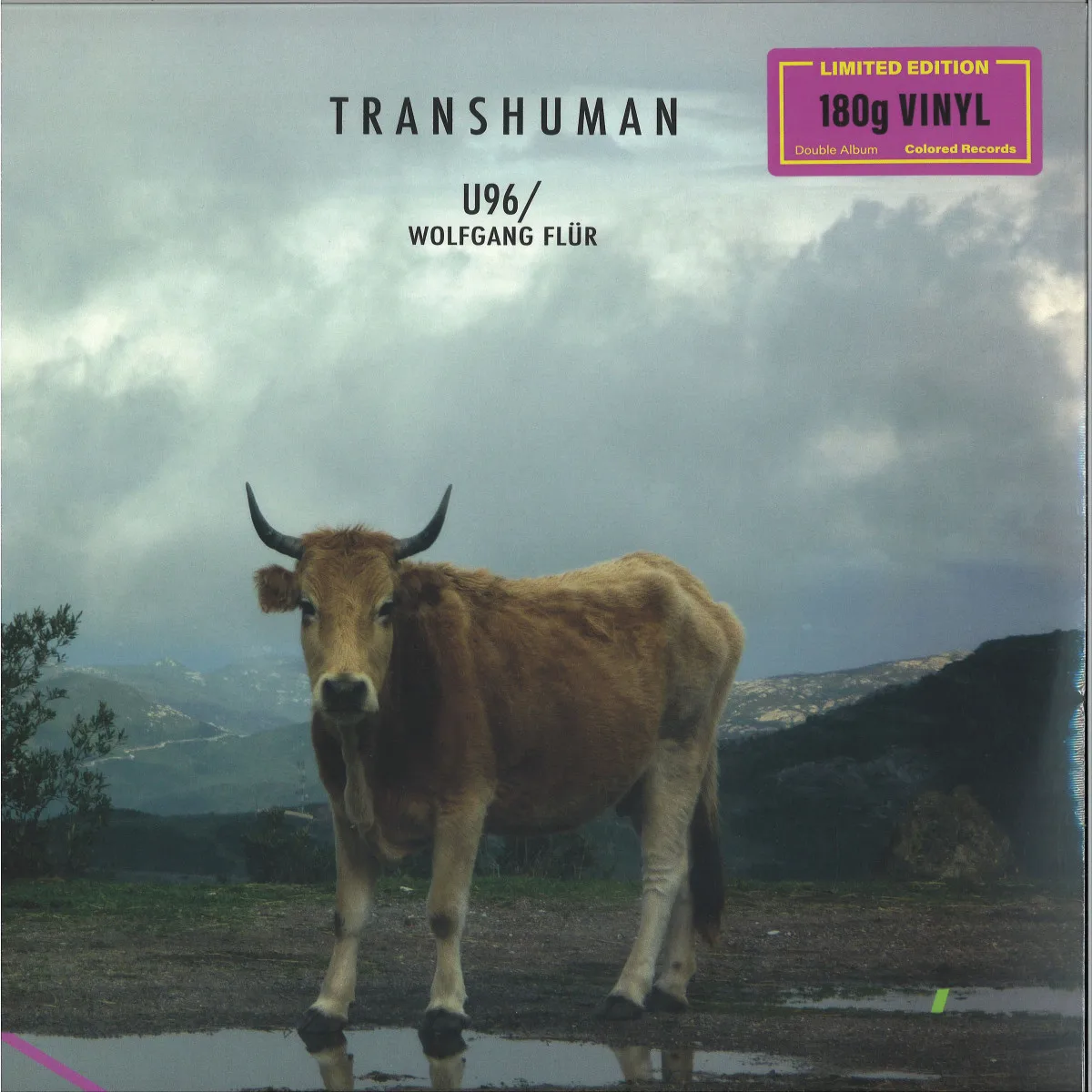 U96/Wolfgang Flur — Transhuman