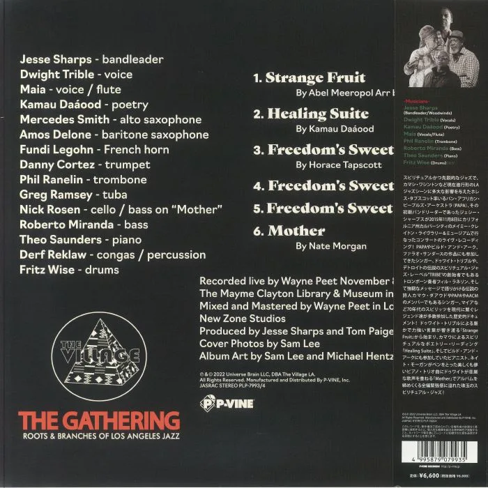 Back cover — The GATHERING — Healing Suite