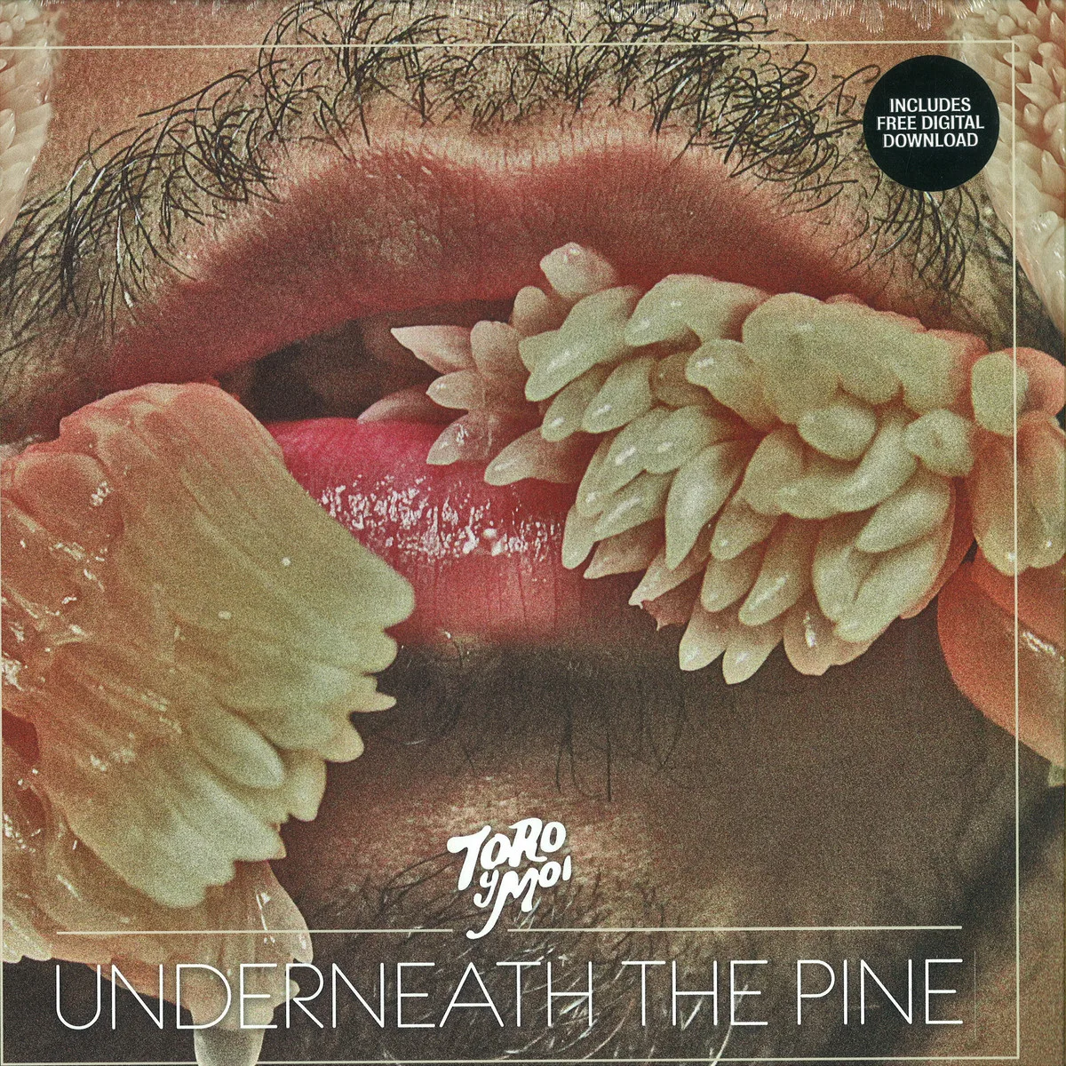 Toro Y Moi — Underneath The Pine LP