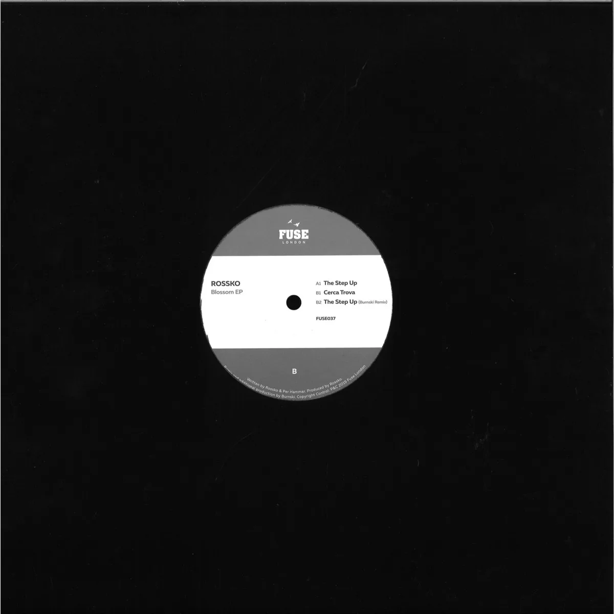 Back cover — Rossko — Blossom EP
