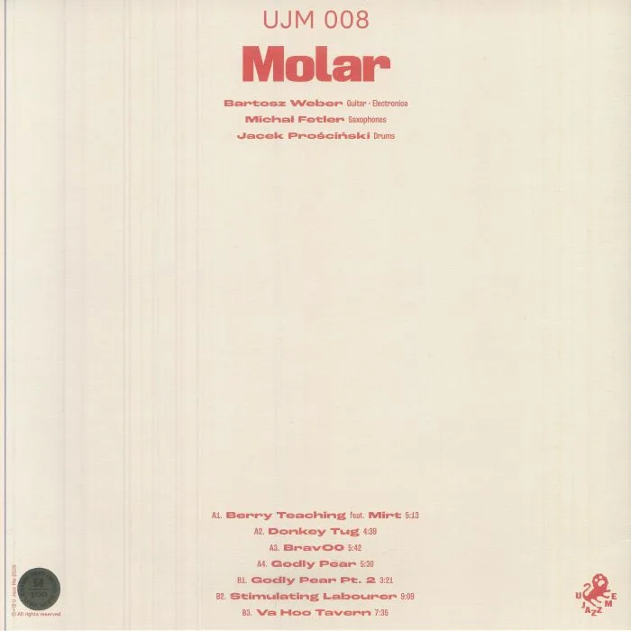 Обратная сторона обложки — MOLAR — LP