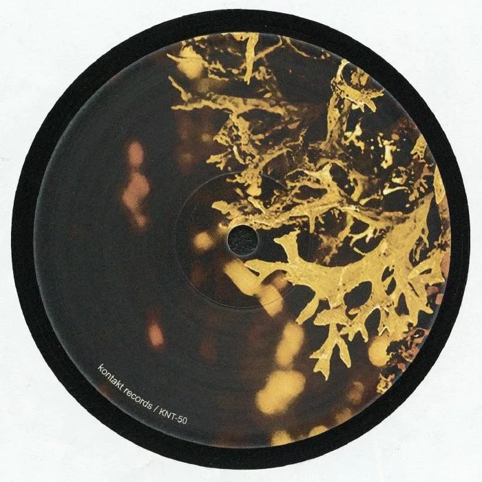 Лицевая сторона обложки — VAN BONN — Detached Trails