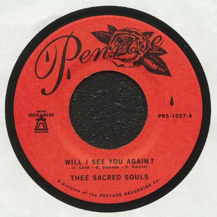 Лицевая сторона обложки — THEE SACRED SOULS — Will I See You Again?