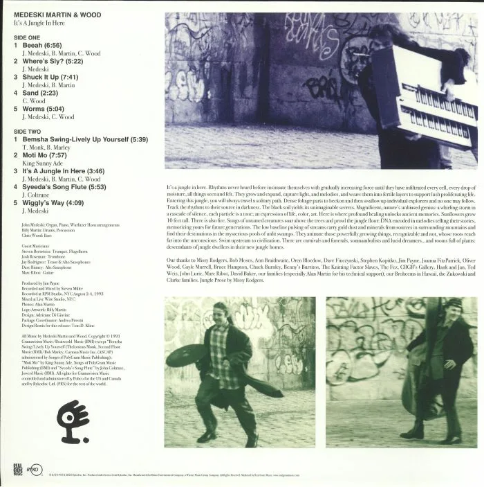Back cover — MEDESKI MARTIN & WOOD — It's A Jungle In Here