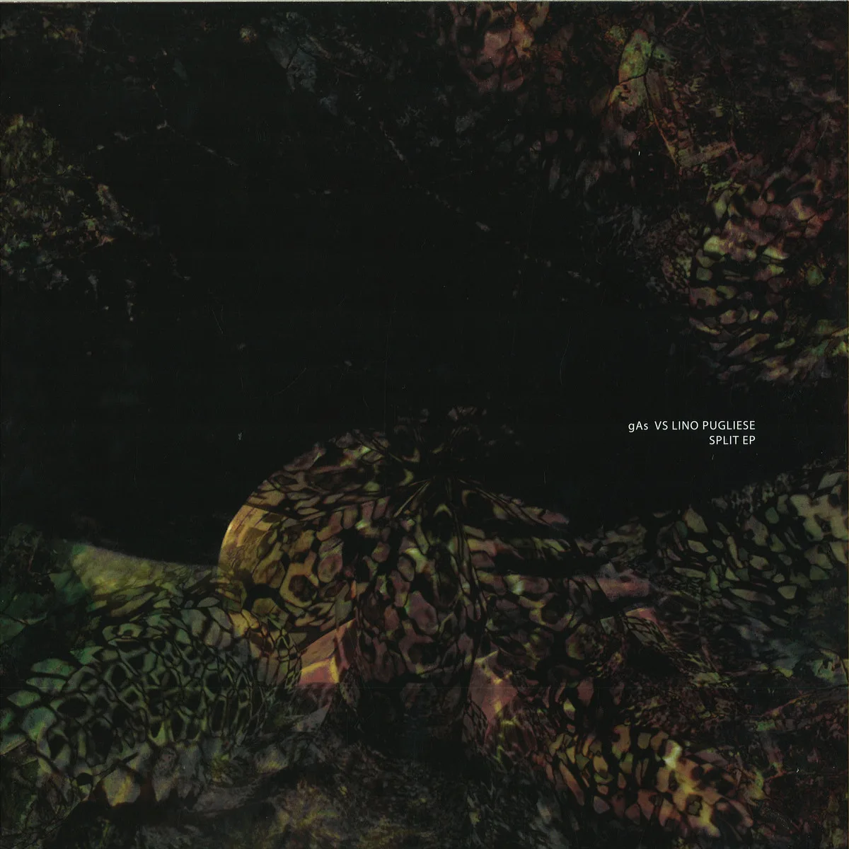 Gasvs.Lino Pugliese — Split Ep