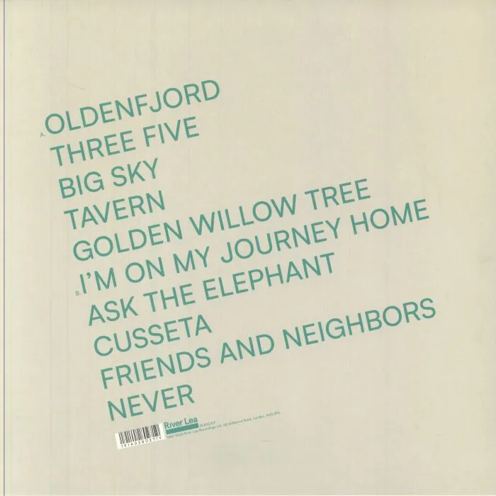 Back cover — Sam AMIDON — Salt River