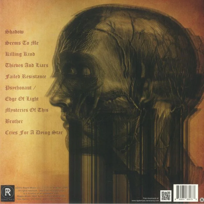 Back cover — BLACKWULF — Thieves & Liars